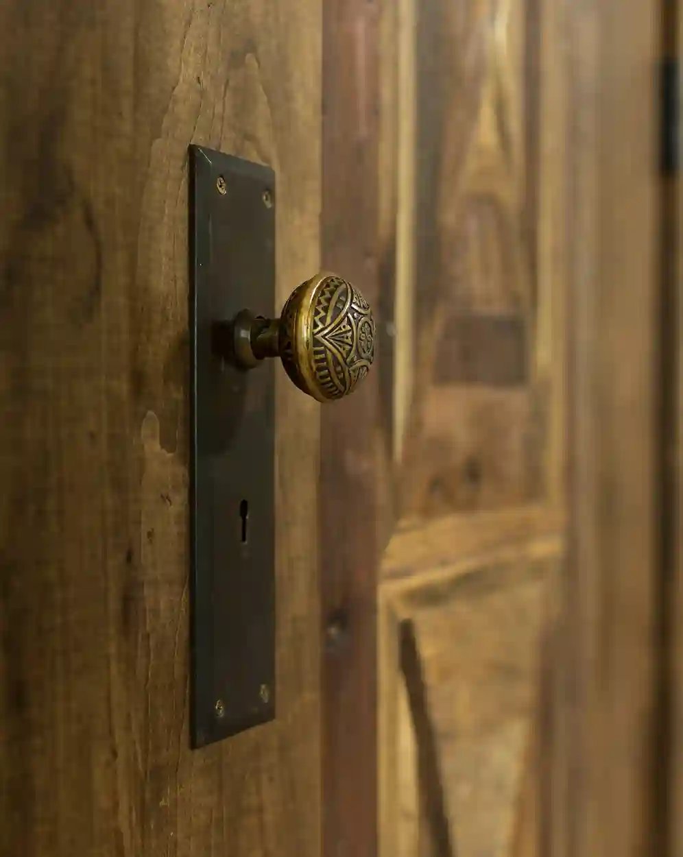 Ornate vintage door knob on a rustic wooden door